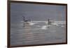 Refracted Light-Bruce Dumas-Framed Giclee Print