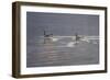 Refracted Light-Bruce Dumas-Framed Giclee Print