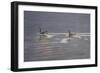 Refracted Light-Bruce Dumas-Framed Giclee Print