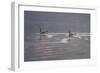 Refracted Light-Bruce Dumas-Framed Giclee Print