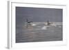 Refracted Light-Bruce Dumas-Framed Giclee Print