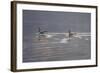 Refracted Light-Bruce Dumas-Framed Giclee Print