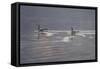 Refracted Light-Bruce Dumas-Framed Stretched Canvas