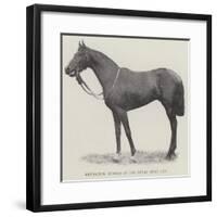 Refractor, Winner of the Royal Hunt Cup-null-Framed Giclee Print