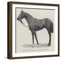 Refractor, Winner of the Royal Hunt Cup-null-Framed Giclee Print