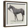 Refractor, Winner of the Royal Hunt Cup-null-Framed Giclee Print