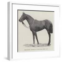 Refractor, Winner of the Royal Hunt Cup-null-Framed Giclee Print