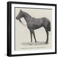 Refractor, Winner of the Royal Hunt Cup-null-Framed Giclee Print