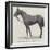 Refractor, Winner of the Royal Hunt Cup-null-Framed Giclee Print