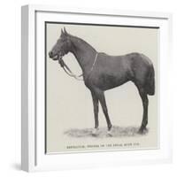 Refractor, Winner of the Royal Hunt Cup-null-Framed Giclee Print