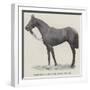 Refractor, Winner of the Royal Hunt Cup-null-Framed Giclee Print