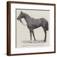 Refractor, Winner of the Royal Hunt Cup-null-Framed Giclee Print