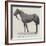 Refractor, Winner of the Royal Hunt Cup-null-Framed Giclee Print