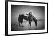 Refresh-Dan Ballard-Framed Photographic Print