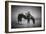 Refresh-Dan Ballard-Framed Photographic Print