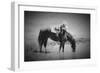 Refresh-Dan Ballard-Framed Photographic Print