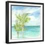 Refreshing Coastal Breeze I-Nicholas Biscardi-Framed Art Print