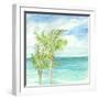 Refreshing Coastal Breeze I-Nicholas Biscardi-Framed Art Print