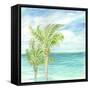 Refreshing Coastal Breeze I-Nicholas Biscardi-Framed Stretched Canvas