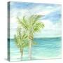 Refreshing Coastal Breeze I-Nicholas Biscardi-Stretched Canvas