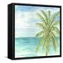 Refreshing Coastal Breeze II-Nicholas Biscardi-Framed Stretched Canvas