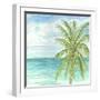 Refreshing Coastal Breeze II-Nicholas Biscardi-Framed Art Print