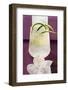 Refreshing Cucumber Drink with Ice Cubes-Foodcollection-Framed Photographic Print