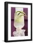 Refreshing Cucumber Drink with Ice Cubes-Foodcollection-Framed Photographic Print