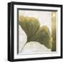 Refreshing Ginko-Ursula Salemink-Roos-Framed Giclee Print