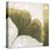 Refreshing Ginko-Ursula Salemink-Roos-Stretched Canvas