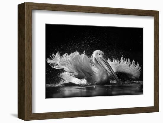 Refreshing-C.S. Tjandra-Framed Photographic Print