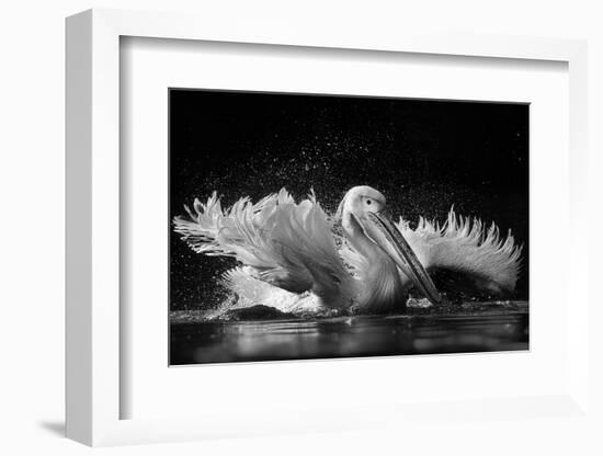 Refreshing-C.S. Tjandra-Framed Photographic Print