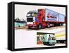 Refrigerated Trucks-English School-Framed Stretched Canvas