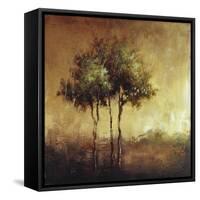 Refuge I-Tracey Lane-Framed Stretched Canvas