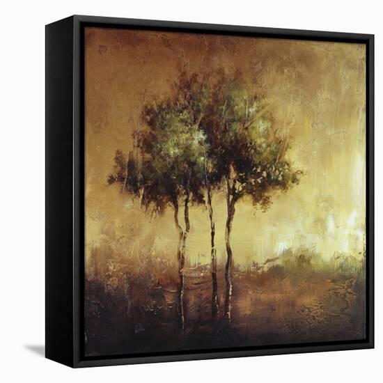 Refuge I-Tracey Lane-Framed Stretched Canvas