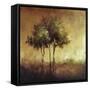 Refuge I-Tracey Lane-Framed Stretched Canvas