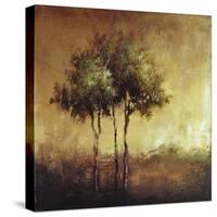 Refuge I-Tracey Lane-Stretched Canvas