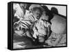 Refugee Babies Born During Flight WWII-Robert Hunt-Framed Stretched Canvas