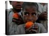 Refugee Boys Eat Tangerines at a Small Refugee Camp-null-Stretched Canvas