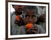 Refugee Boys Eat Tangerines at a Small Refugee Camp-null-Framed Photographic Print