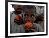 Refugee Boys Eat Tangerines at a Small Refugee Camp-null-Framed Photographic Print