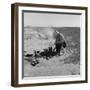 Refugee from the Dust Bowl stops by the side of the highway, California, 1937-Dorothea Lange-Framed Photographic Print