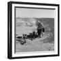 Refugee from the Dust Bowl stops by the side of the highway, California, 1937-Dorothea Lange-Framed Photographic Print