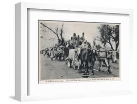Refugees Leave East Punjab to Head to India-null-Framed Photographic Print