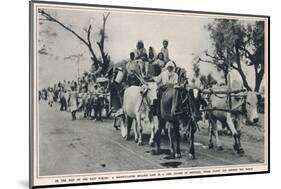 Refugees Leave East Punjab to Head to India-null-Mounted Photographic Print