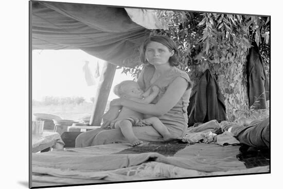 Refugees of the Drought of the Dust Bowl-Dorothea Lange-Mounted Art Print