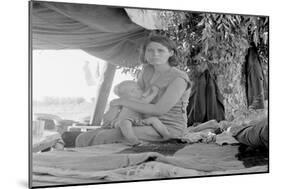 Refugees of the Drought of the Dust Bowl-Dorothea Lange-Mounted Art Print