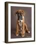 Regal 2-Rachael Hale-Framed Photographic Print