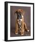 Regal 2-Rachael Hale-Framed Photographic Print