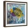 Regal Angel Fish-Kestrel Michaud-Framed Giclee Print